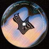 Mr. Pauli: <br>Cyber Shadow [12"]