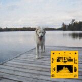 Jaguar Sun: <br>Daisy [LP, vinyle tourbillon de noir et de jaune]