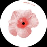 Carré: <br>Hibiscus EP [12"]