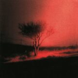 Joji: <br>Piss In The Wind [LP, vinyle prisme de couleur]