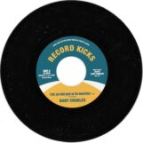 Baby Charles: <br>I Bet You Look Good On The Dancefloor / Time Wasting [7"]