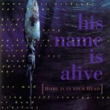 His Name Is Alive: <br>Home Is In Your Head [CD]