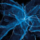 Moran; BlankFor.ms & Marcus Gilmore, Jason: <br>Shards [CD]