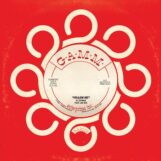 DJ Spinna: <br>Follow Me (DJ Spinna Park Jam Remix) / (DJ Spinna Park Jam Instrumental) [7"]