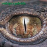 Rodrigo Y Gabriela: <br>Rodrigo y Gabriela / Re-Foc — édition 20e anniversaire [2xLP, vinyle jade & agrumes]