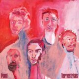 Pond: <br>Terrestrials [CD]