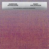 Akinmusire & Mary Halvorson, Ambrose: <br>Slo-Mo Neon Luminate Hoverings [LP]