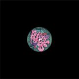 Triple Five Sol: <br>Sounds From The Pound Volume 1 [12"]