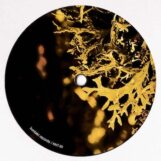 Van Bonn: <br>Detached Trails — incl. remixes par Luigi Tozzi [12", vinyle marbré orange]