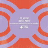 LDF / Javonntte / Orlando Voorn: <br>LDF pres. The SBT Project [12"]