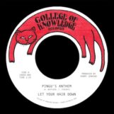 Let Your Hair Down: <br>Pingu's Anthem / Gronk [7"]