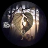 Leniz: <br>Within Our Realms Vol. 1 [12"]