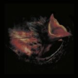 Gurriers: <br>Nobody's Coming To Save You [LP, vinyle vert]