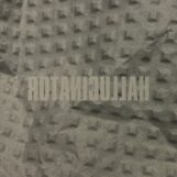 Hallucinator: <br>Landlocked [2xLP]
