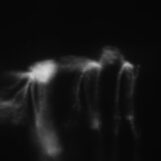 Dialog: <br>Sequence / Structure [12"]