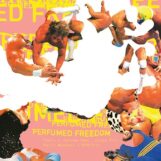 Foehn & Jerome: <br>Macho Madness [12"]