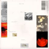 Polygonia & Simon Popp: <br>Apiformes [LP 180g]