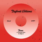 Temu: <br>Running / Whip It [7"]