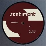 Asphalt DJ: <br>SNTMNT002 [12"]