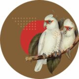 Shaka: <br>Coming Storm EP [12"]