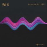 Watson, Vince: <br>Introspection II EP [12"]