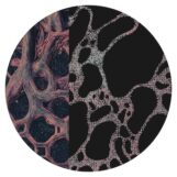 Dexter Colt: <br>Syncretic [12"]