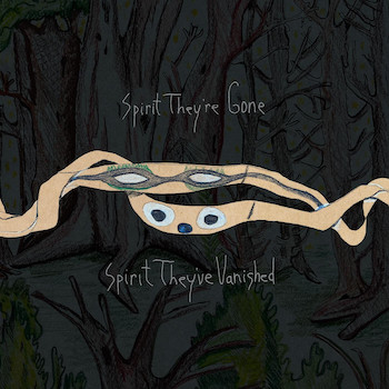 Animal Collective: Spirit They're Gone, Spirit They've Vanished [2xLP, vinyle herbe verte]