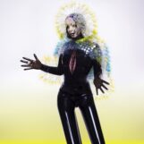 Björk: <br>Vulnicura [2xLP]