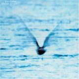 Ryo Fukui: Mellow Dream [LP 180g half-speed master]
