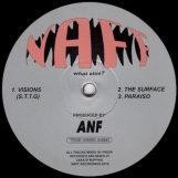 Anf: Visions [12"]