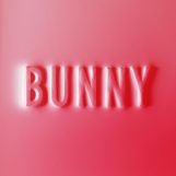 Dear, Matthew: Bunny [CD]