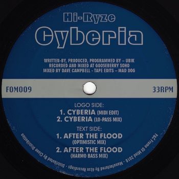 Hi-Ryze: Cyberia / After The Flood [12"]