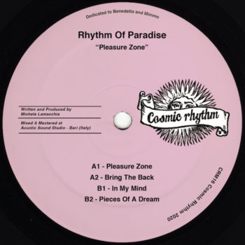 Rhythm of Paradise: Pleasure Zone [12"]