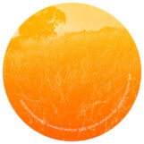Pub: <br>Summer / Fragile Root [12" jaune marbré]