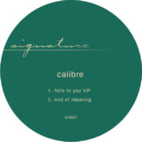 Calibre: Falls To You VIP / End of Meaning [12"]