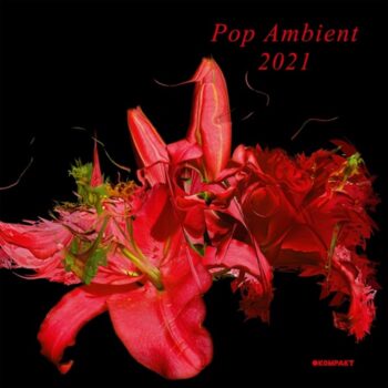 variés: Pop Ambient 2021 [CD]
