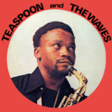 Teaspoon & The Waves: Teaspoon & The Waves [CD]