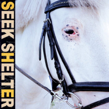 Iceage: Seek Shelter [CD]