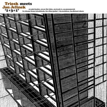Triosk meets Jan Jelinek: 1+3+1 [LP]