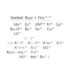 Seefeel: Rupt + Flex 94-96 [4xCD]