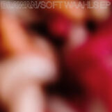 Blawan: Soft Waahls EP [2x12"]