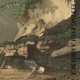 Rainforest Spiritual Enslavement: Flying Fish Ambience [CD]