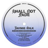Jaymie Silk: The Rise & Fall Of Jaymie Silk & Rave Culture LP [LP]