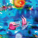 Anteloper: Pink Dolphins [CD]