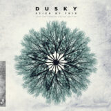 Dusky: Stick By This [3xLP, vinyle gris pâle]