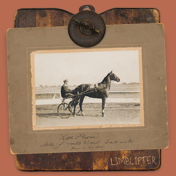 Limblifter: Little Payne [LP]