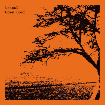 Losoul: Open Door — incl. remixes par Theo Parrish & Gerd [2x12"]