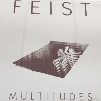 Feist: Multitudes [LP, vinyle clair]