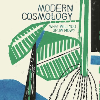 Modern Cosmology: What Will You Grow Now? [CD]