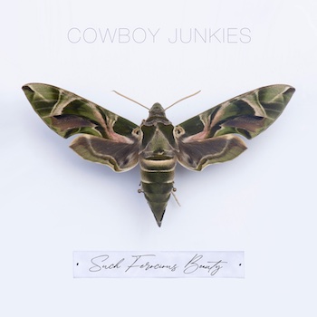 Cowboy Junkies: Such Ferocious Beauty [CD]